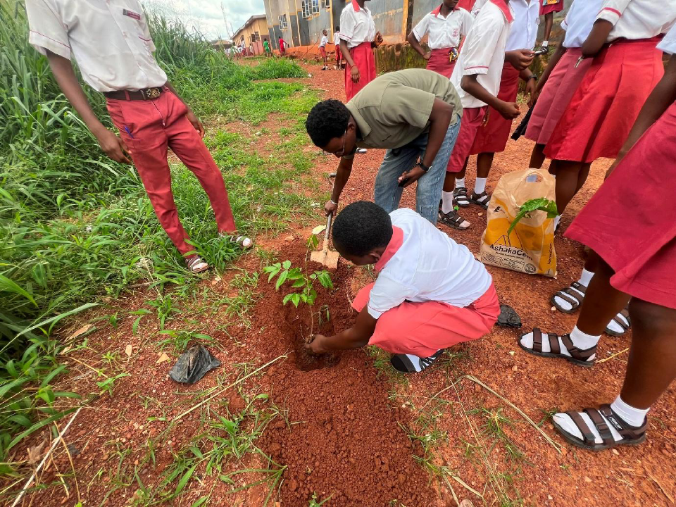 Tree planting exercise with the students